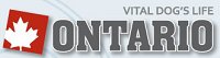 ONTARIO logo