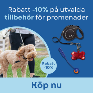 2025-04-29 - Kampanj på promenadutrustning– 10% rabatt