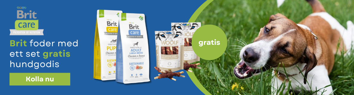 BRIT på utvalda produkter med WOOLF hundgodis GRATIS