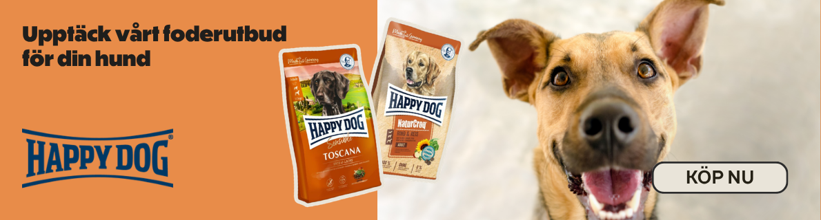 Happy Dog