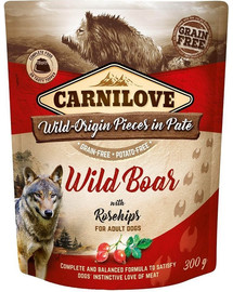 CARNILOVE Pâtée pour Chien Sanglier & Eglantier - 300g
