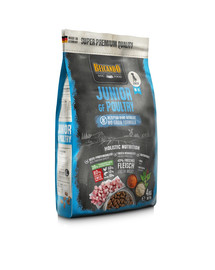 BELCANDO Finest Grain Free Junior M-XL - Croquettes de volaille pour chiots de moyennes et grandes races à partir de 4 mois - 4 kg