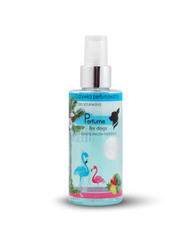 FREXIN Après-shampooing parfumé aux fruits tropicaux 140 g