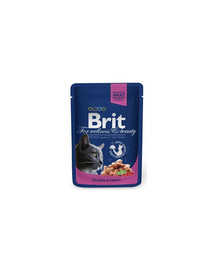 BRIT Premium Cat Adult Salmon and Trout 24 x 100g