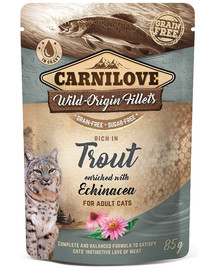 CARNILOVE Truite & Echinacée 24 x 85 g pâtée pour Chat