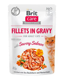 BRIT Care Fillets in gravy savory salmon 24 x 85 g