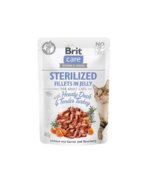 BRIT Care Sterilized Fillets in Jelly Duck&Turkey 24 x 85 g