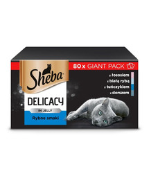 SHEBA Delicacy 80 x 85g  saumon, poisson blanc, thon et morue en gelée