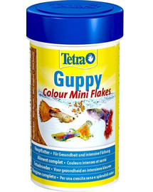 TETRA Guppy Couleur 250 ml