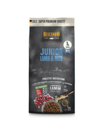 BELCANDO Junior Lamb & Rice M-L - Croquettes d'agneau & riz pour jeunes chiens à partir de 4 mois, de moyennes et grandes races 1 kg