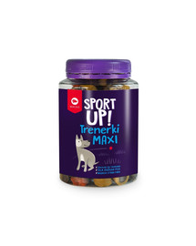 ZOLUX NUTRIMEAL3Stick śliwka dla kawii domowej 115g