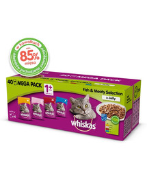 VETEXPERT RAW PALEO Adult turkey - nourriture humide à la dinde 6x800 g + couvercle de conserve OFFERT