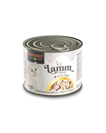 BENEK Super Compact Bentonite brise de mer 25L