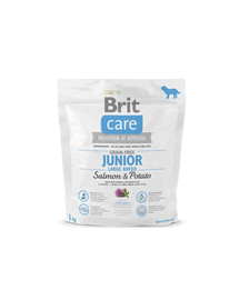 BEAPHAR Szczoteczka Do Zębów Dwugłowicowa