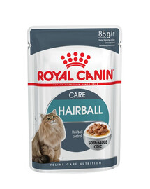 ROYAL CANIN Hairball Care 48x85 g