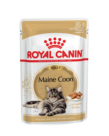 ROYAL CANIN Mainecoon saszetka 48x85 g