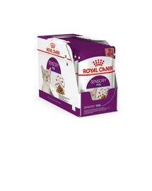ROYAL CANIN Sensory Feel gravy 24x85 g kawałki w sosie dla kotów dorosłych pobudzające percepcje tekstur