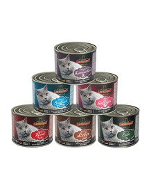 LEONARDO Quality Selection zestaw mix smaków 6 x 200 g