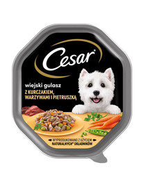 CESAR 150 g Alimento umido completo per cani adulti in salsa di pollo, verdure e prezzemolo