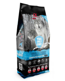 ALPHA SPIRIT Wild Fish cibo secco completo per cani 12 kg