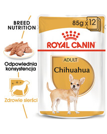 NATURES PROTECTION SUPERIOR CARE Red Coat Grain Free Salmon Junior Small Breed - au saumon pour chiots de petites races au pelage roux 1,5 kg
