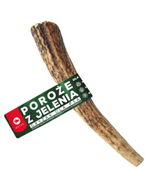 CARTON+ PETS Tom Griffoir pour chat en carton