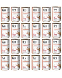 IAMS Cat Adult All Breeds Chicken 10 kg