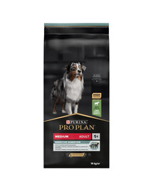 BEAPHAR Care+ Guinea Pig - 1,5 kg - Nourriture pour cochons d'Inde