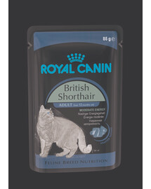 APPLAWS Cat Tin Senior - Filet de thon et saumon en gelée - 24x70g