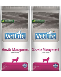 BRITA - Filtres à eau MAXTRA PRO Pure Performance 3+1 (4 pièces)