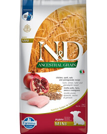 BAYER Drontal Dog Flavour dla psów 24 tabletki