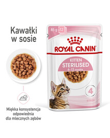 ROYAL CANIN Kitten Sterilised karma mokra w sosie dla kociąt do 12 miesiąca życia, sterylizowanych 48 x 85 g