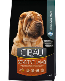 TRIXIE Box avant pour chien 41 × 26 × 26 cm