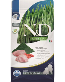 PAN MIĘSKO Poulet et truite pour chats adultes - S 5kg