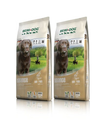 HILL'S Prescription Diet Feline k/d z wołowiną 12x85 g w saszetkach