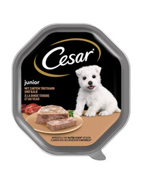 CESAR Junior tacka 150 g pasztet z indykiem i cielęciną dla szczeniąt