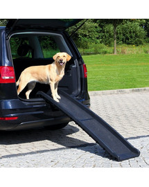 TRIXIE `Petwalk` Rampe pliante - 40 x 156 cm - jusqu'à 90 kg
