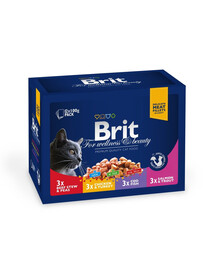 BRIT Pouches Family Plate 12x100g