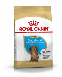 ROYAL CANIN Teckel chiots - 1.5 kg