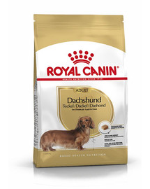 ROYAL CANIN Dachshund adult 1.5 kg