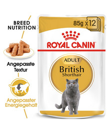 ROYAL CANIN British Shorthair Pâtée 12x85 g