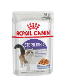 ROYAL CANIN Cat sterilised en gelée 12 x 85 g