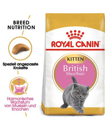 ROYAL CANIN Kitten british shorthair - pour chatons British Shorthair - 2 x 10 kg