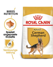 ROYAL CANIN German Shepherd Adult Aliments secs pour chiens adultes de type berger allemand 22 kg (2x11 kg)