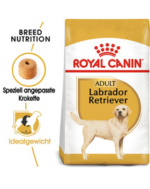 ROYAL CANIN Labrador Retriever Adult Aliment sec pour chiens adultes de la race labrador retriever 24 kg (2x12 kg)