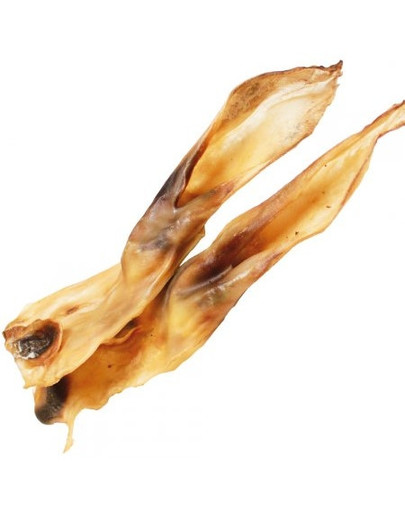 MACED Oreilles de lapin 10 pcs