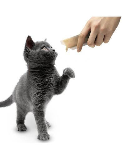 APPLAWS Cat Treat Purea di pollo 8 x 7 g