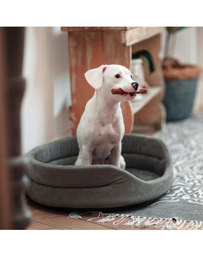 FERA Lit ovale pour chien 66x55x17 cm gris