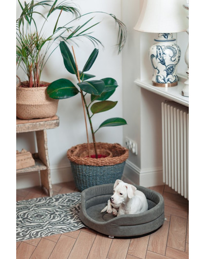 FERA Lit ovale pour chien 66x55x17 cm gris