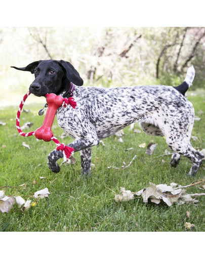 KONG Goodie Bone with Rope XS